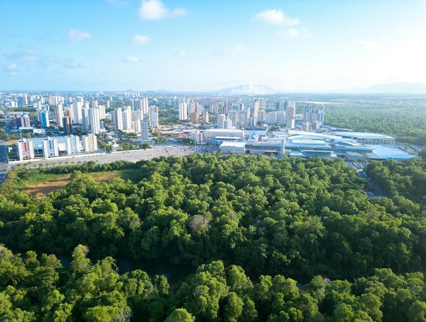 Les 10 sculpteurs contemporains à suivre